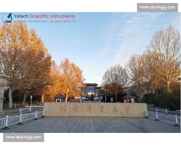 全面提升身体素质与运动能力的体育健康资源整合指南